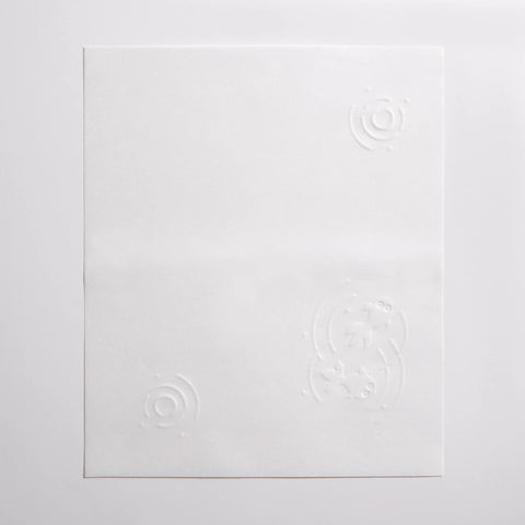 Embossed Pocket Paper, Goldfish