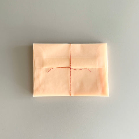 A1 Wax Paper Envelopes, Salmon