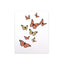 Beautiful Butterflies Pop Up Card
