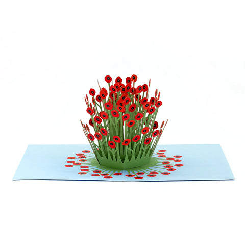 Blooming Poppies Pop Up Card