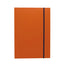 Accordion Notebook A4, Vermilion